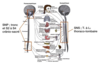 anatomie systeme nerveux autonome