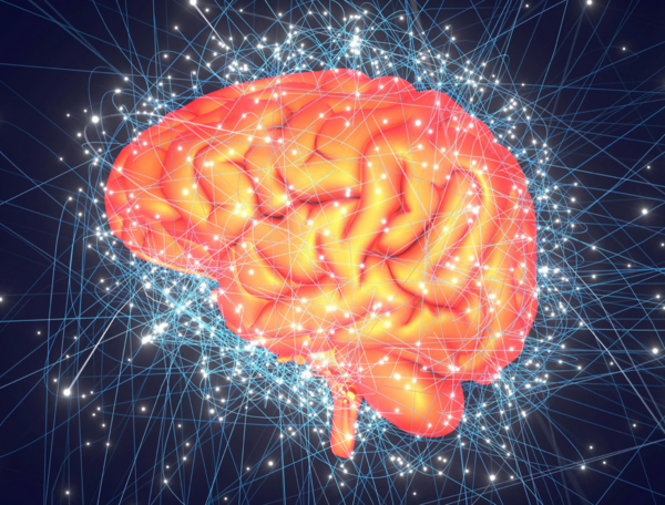 etude scientifique SNA recherche