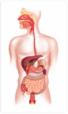 crohn douleur digestive osteo argenteuil