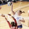 volleyball osteopathe argenteuil