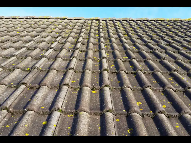 capture_d_ecran_2020-11-23_a_20-38-57